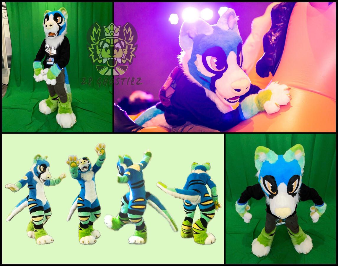 Noosa Temporary Portfolio Image